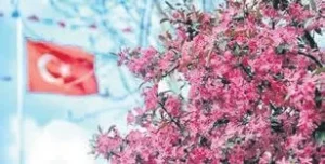 Adalet Bakanlığı’nın Yeni Reformları İle Faili Meçhul Dosyaları Aydınlatılıyor