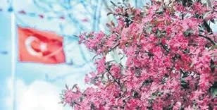 Adalet Bakanlığı’nın Yeni Reformları İle Faili Meçhul Dosyaları Aydınlatılıyor