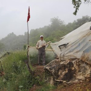 Aydınlı Robinson’un Modern Hayata Dönüşü ve Doğayla Olan Bağımlılığı