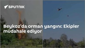 Beykoz ormanlarında çıkan yangın kontrol altına alınmaya çalışılıyor