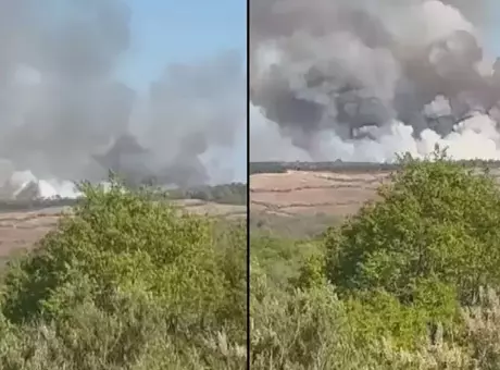 Beykoz’da 50 dönümlük meşelik alanı etkileyen orman yangını kontrol altına alındı