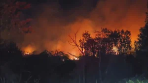 Beykoz’da kontrol altına alınan orman yangını rüzgarın etkisiyle yeniden alevlendi