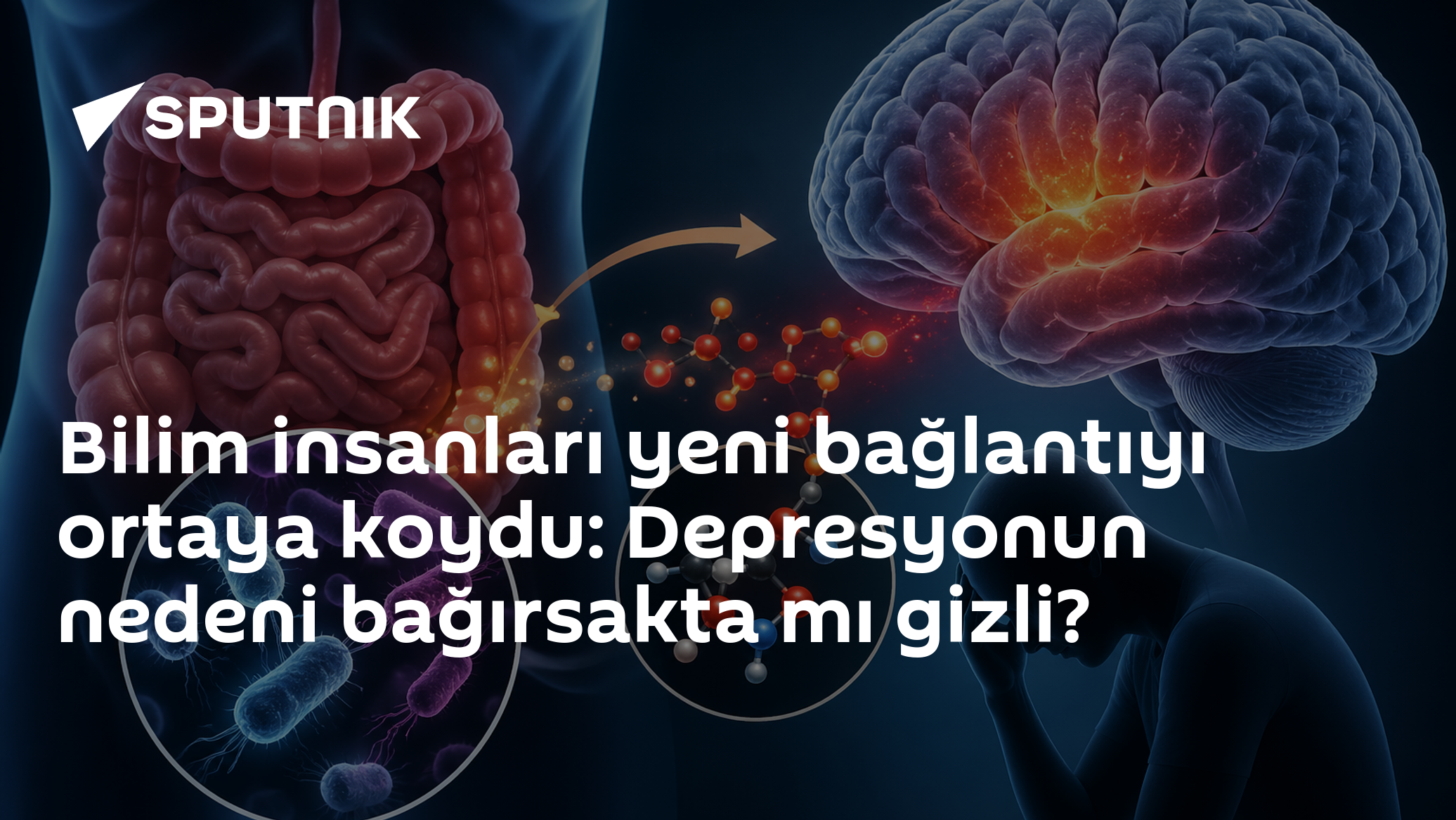 Bilim insanları depresyonun olası nedeni olarak bağırsak bakterilerini inceliyor