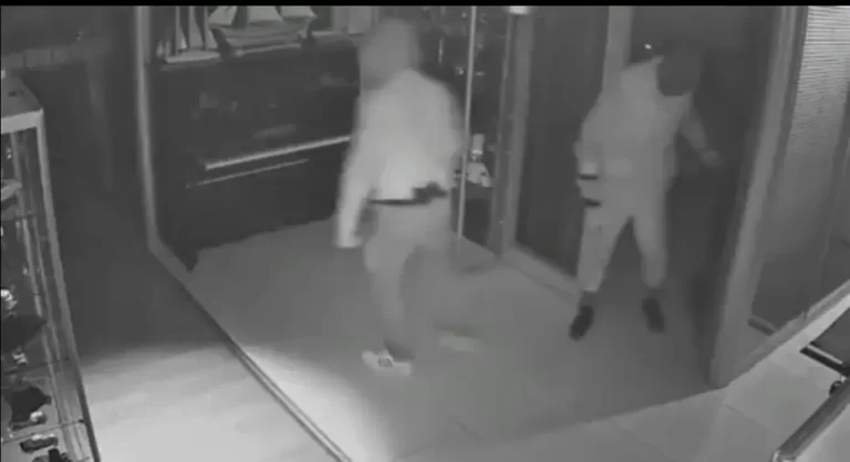 Bursa’da hırsızlar Jandarmanın 2 aylık titiz takibiyle yakalandı