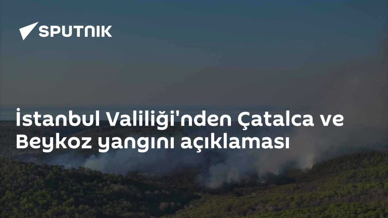 Çatalca ve Beykoz’daki orman yangınları kontrol altına alındı, İstanbul Valiliği rahatlatan açıklama yaptı