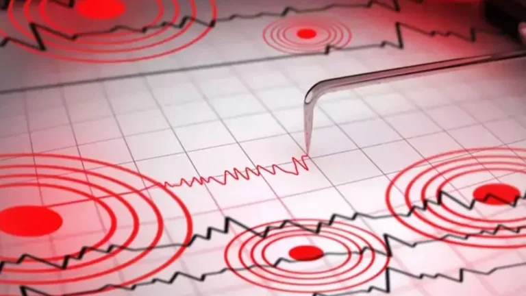 Datça açıklarında gece saatlerinde yaşanan deprem paniğe yol açtı