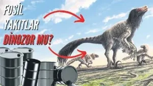 Drew Stern’in Petrolün Kökenine Dair Çarpıcı Teorisi İklim Tartışmalarını Alevlendirdi