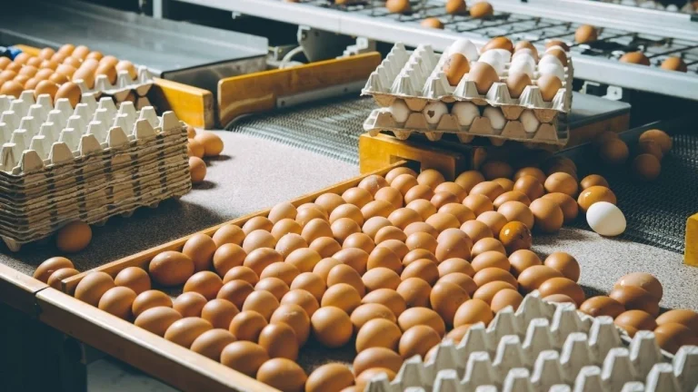 Erken Gelen Mayıs Çukuru Yumurta Fiyatlarını Dibe Çekti