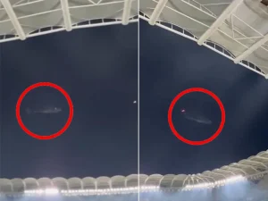 Fenerbahçe-Konyaspor maçında F-16’ların uçuşu sonrası Tümgeneral Mete Kuş görevden alındı