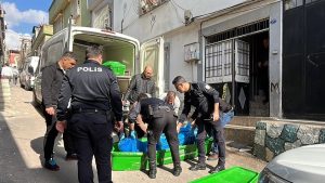 Gaziantep’te Şok Edici Olay: 14 Yaşındaki Kız Babasını Bıçakladı, Taciz İddiasıyla Teslim Oldu