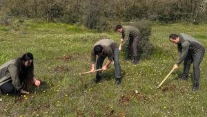 Gebze’de Salep Orkideleri Toplayanlara Ağır Para Cezası