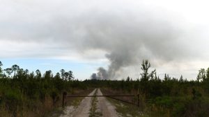 Georgia Eyaletindeki Orman Yangınları Kontrolden Çıktı: Yüzlerce Ev ve Binlerce Dönüm Arazi Tehlikede