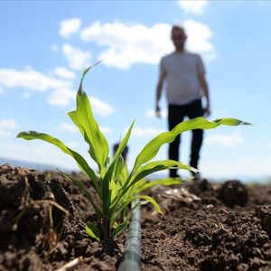 Gübrede Vergi Sıfırlaması: Tarım Sektörü İçin Yeni Bir Dönem Başlıyor