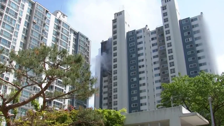Güney Kore’nin Uiwang şehrindeki apartman yangını can kayıplarına yol açtı