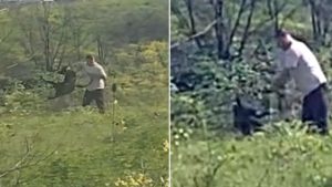 İstanbul Avcılar’da Köpeğe Uygulanan Şiddet Tepki Çekti: Sokakta Şiddete Sessiz Kalınmamalı