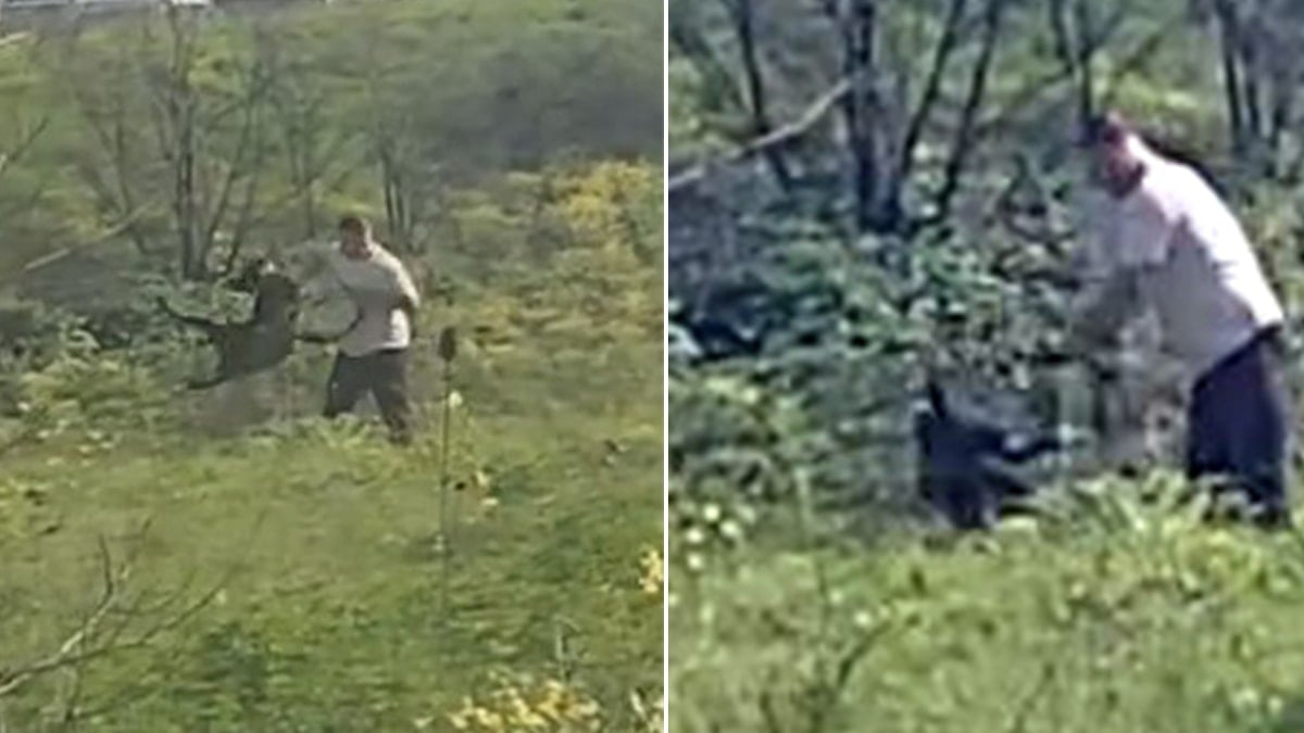 İstanbul Avcılar’da Köpeğe Uygulanan Şiddet Tepki Çekti: Sokakta Şiddete Sessiz Kalınmamalı