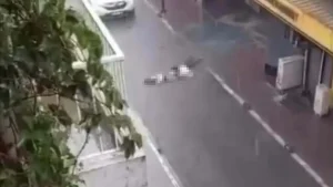 İzmir’de sağanak sırasında akıma kapılan iki kişinin ölümüne ilişkin İZSU yöneticilerine hapis istemi