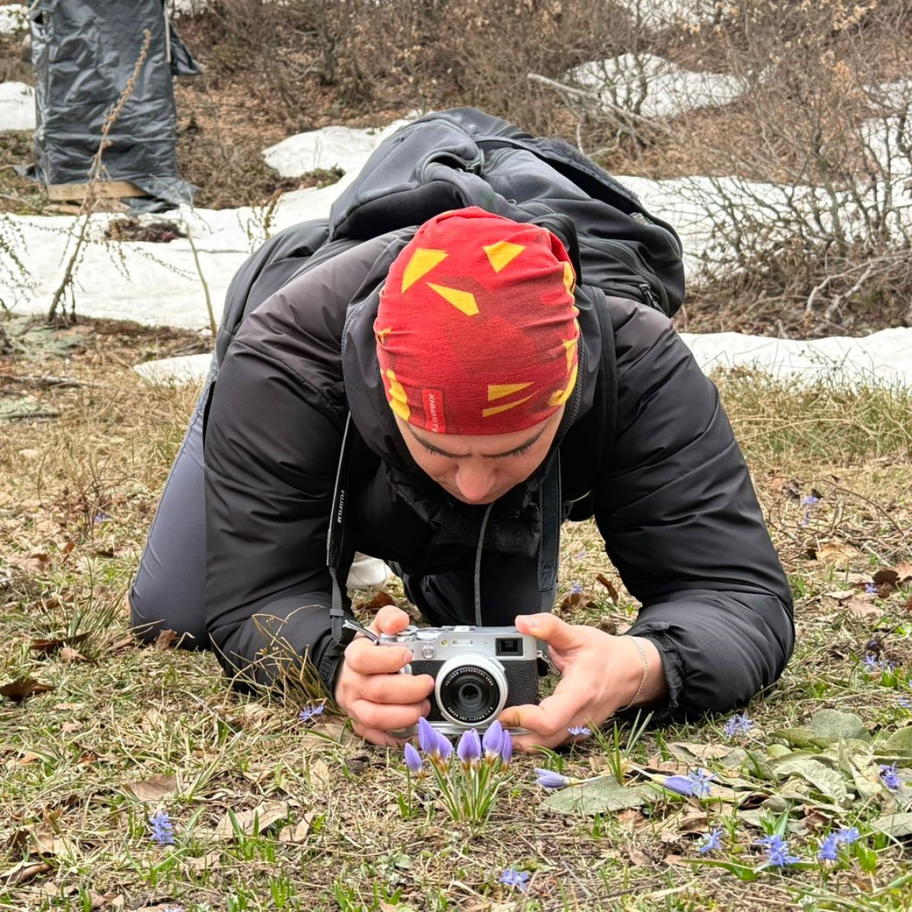 Kartepe’nin Benzersiz Hazinesi: Keltepe Çiğdemi Foto Safari ile Tanıtılıyor