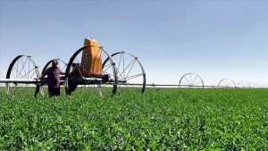 Kırsal Kalkınma Yatırımları için 10 Milyar Liralık Destek Başvuruya Açıldı