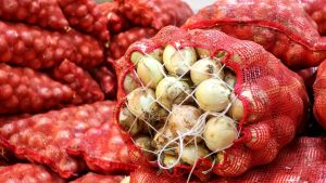 Kuru soğan ihracatı 2026’da rekor artışla 29 ülkeye yayıldı