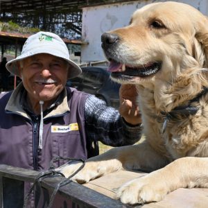Manisa’da Abdullah Dede ve Köpeği Betty’nin Traktördeki Göz Alıcı Seyahati İlgi Çekiyor