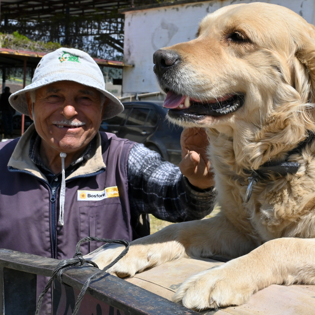 Manisa’da Abdullah Dede ve Köpeği Betty’nin Traktördeki Göz Alıcı Seyahati İlgi Çekiyor