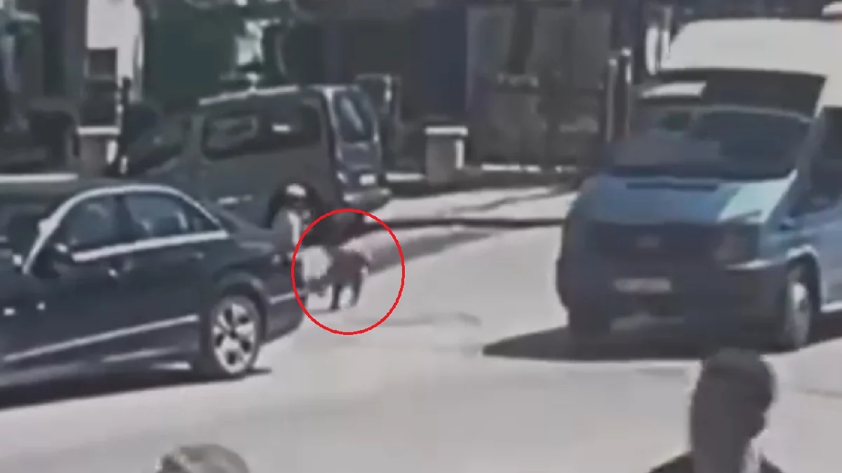 Minik Yakup Can’ın ölümünde ihmaller zinciri gözler önüne serildi