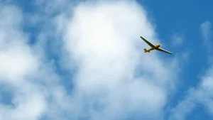 Minnesota’da Küçük Uçak Kazası Kuzey Dakota Milletvekili Liz Conmy’i Hayatından Etti