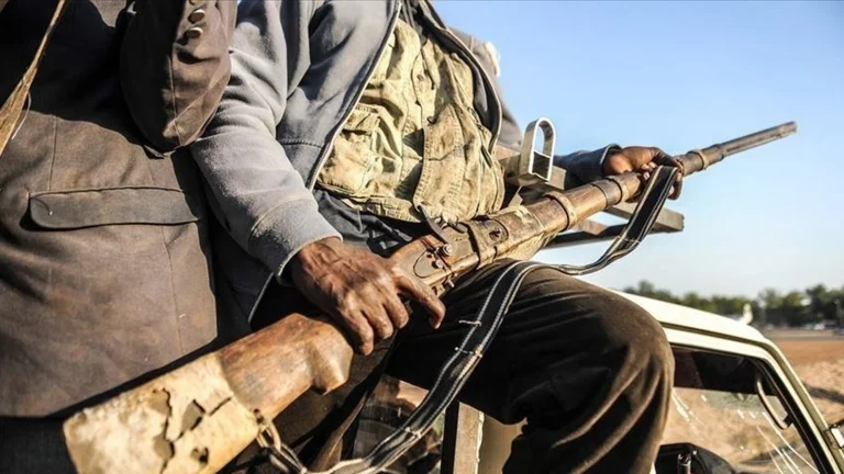 Nijerya’da Boko Haram saldırısı Adamawa eyaletinde 29 can aldı