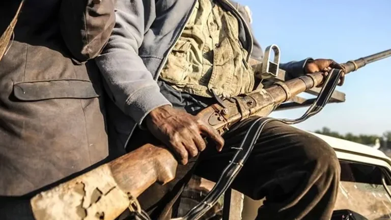 Nijerya’da silahlı saldırı, Katsina eyaletinde 11 can kaybına neden oldu