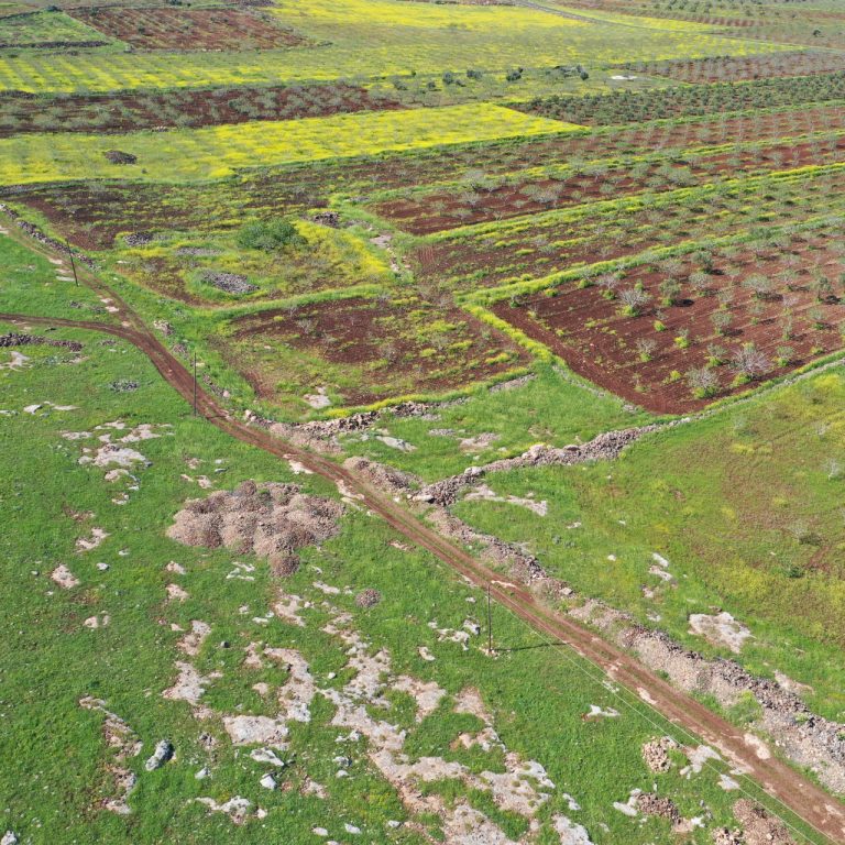 Şanlıurfa’daki Neolitik Kazılar Japon ve Çinli Arkeologlarla Uluslararası Boyuta Taşınıyor