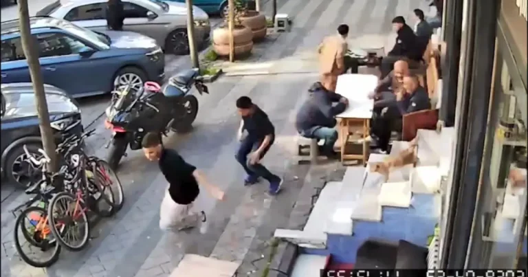 Sultangazi’de kuaförde kedi kovalamacası müşterileri panikletti