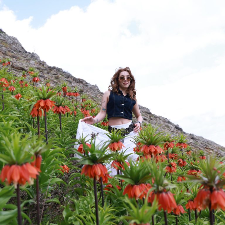 Ters Lalelerin Büyüleyici Güzelliği: Muş’un Zirvelerinde İki Saatlik Yolculuk