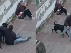 Ümraniye’de rottweiler saldırısı sonrası köpek sahibi gözaltına alındı