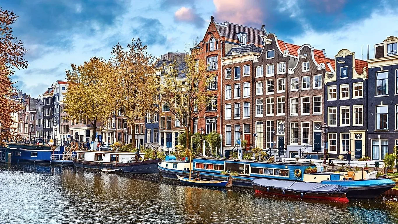 Amsterdam’da et reklamı yasağı: Müslümanlarla ilgili iddia doğru mu?