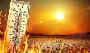 Dünya sıcaklık rekorunun kırılacağı yıl belli oldu