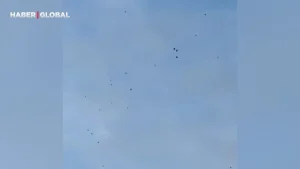 ABD’de genetiği değiştirilmiş kenelerin havadan bırakılması sosyal medyada tartışma yarattı