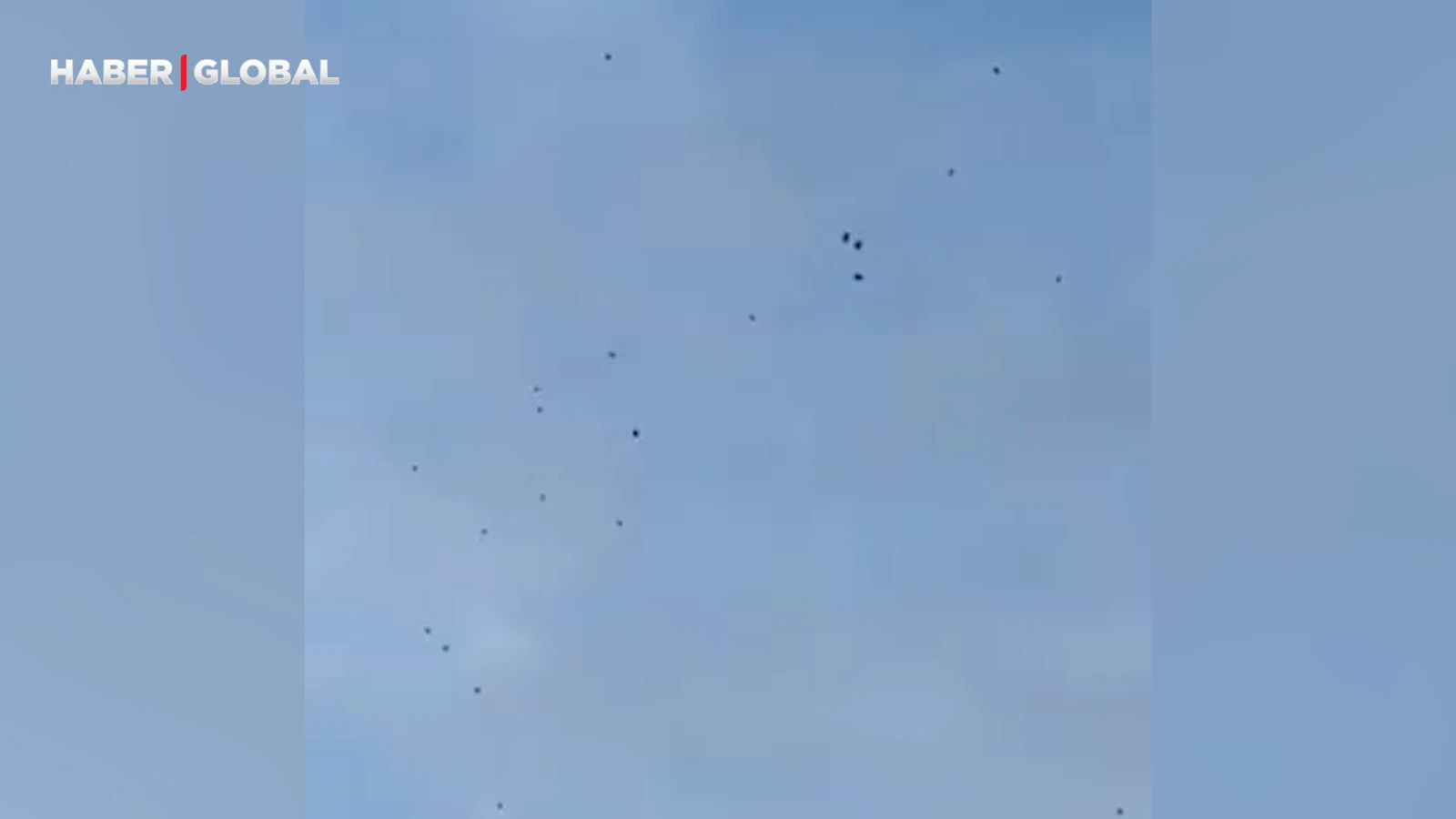 ABD’de genetiği değiştirilmiş kenelerin havadan bırakılması sosyal medyada tartışma yarattı