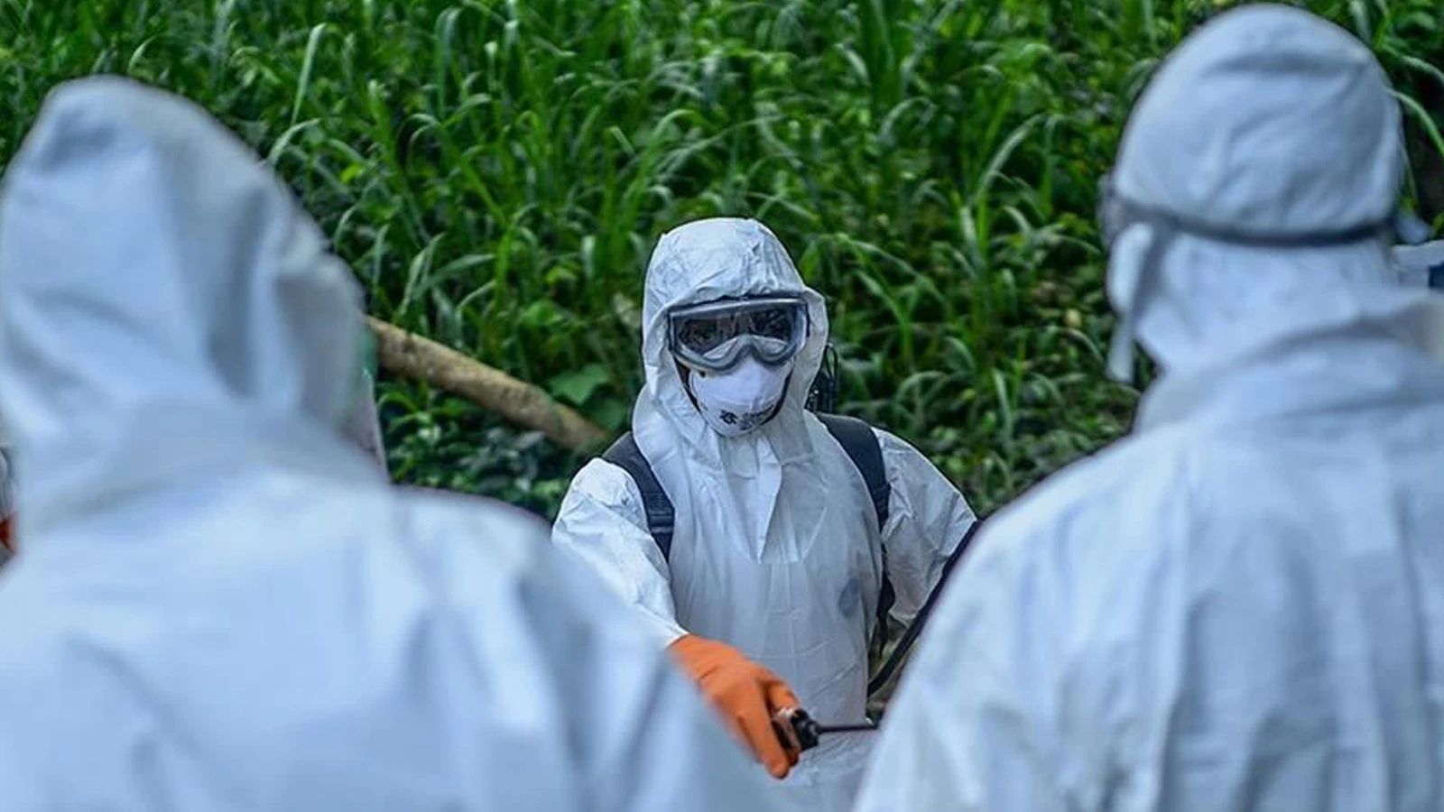 Afrika Birliği, Ebola salgınına karşı birleşik çaba için harekete geçti