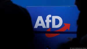 Almanya’da AfD’nin iktidar hedefleri devlet kadrolarında köklü değişiklikler öngörüyor
