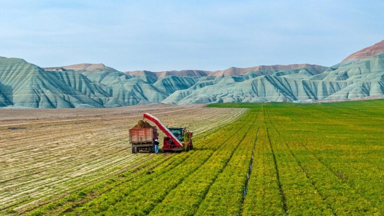 Ankara Beypazarı ve Aydın’da Arazi Toplulaştırma Çalışmaları Başlıyor