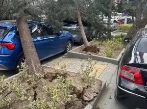 Ankara’da Şiddetli Fırtına Hayatı Olumsuz Etkiledi, Trafik Felç Oldu