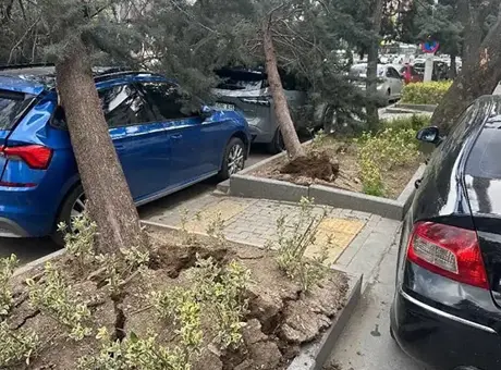 Ankara’da Şiddetli Fırtına Hayatı Olumsuz Etkiledi, Trafik Felç Oldu