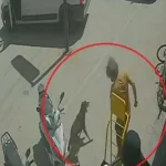 Antalya’da yabancı uyruklu şahıs sokak hayvanlarına eziyet ettiği gerekçesiyle gözaltına alındı