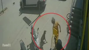Antalya’da yabancı uyruklu şahıs sokak hayvanlarına eziyet ettiği gerekçesiyle gözaltına alındı