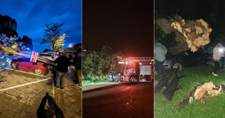 Bartın’da Fırtına Ağaçları Devirip Trafiği Felç Etti