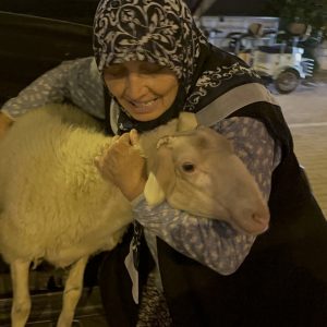 Bursa’da kaybolan sevimli kuzu Çorap, karakol sayesinde kurtarıldı