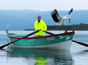 Bursa’nın ünlü çifti Adem Amca ve Yaren Leylek’in ilk yavruları yuvada
