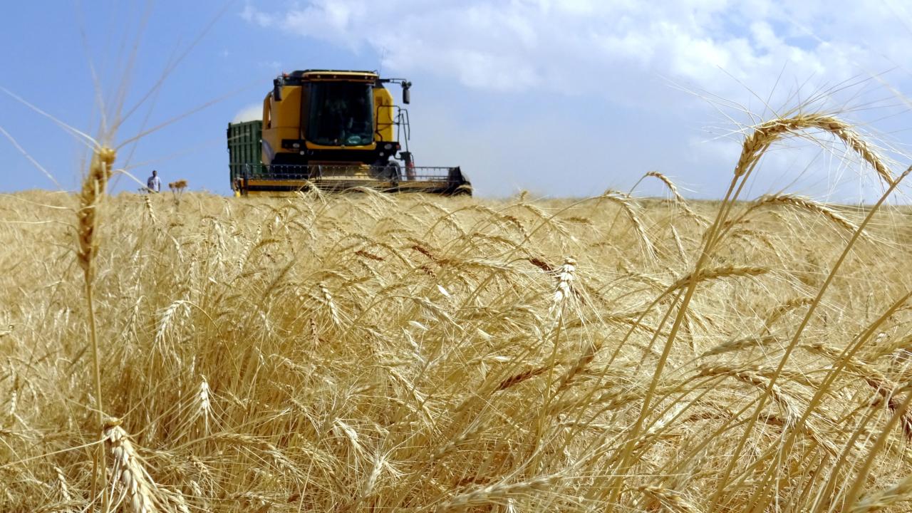 Çiftçilere 3.7 milyar liralık tarımsal destek ödemesi hesaplara yatırılıyor