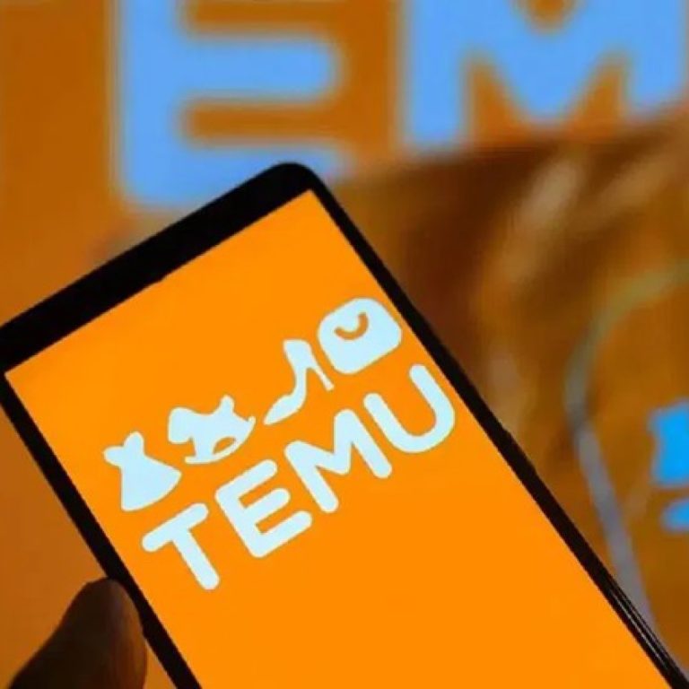 Çinli e-ticaret devi Temu, AB’den aldığı tarihi cezaya itiraz ediyor